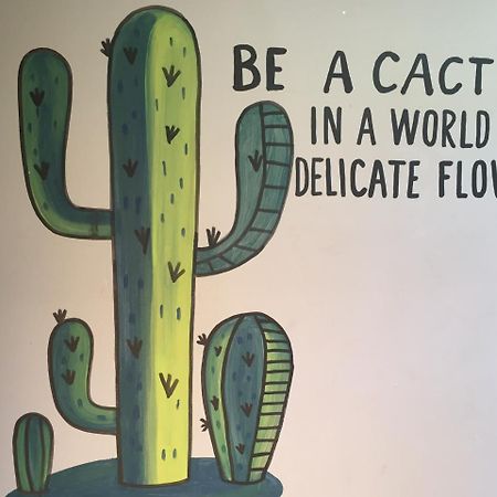 קאבו סן לוקאס Bajas Cactus Hostel מראה חיצוני תמונה