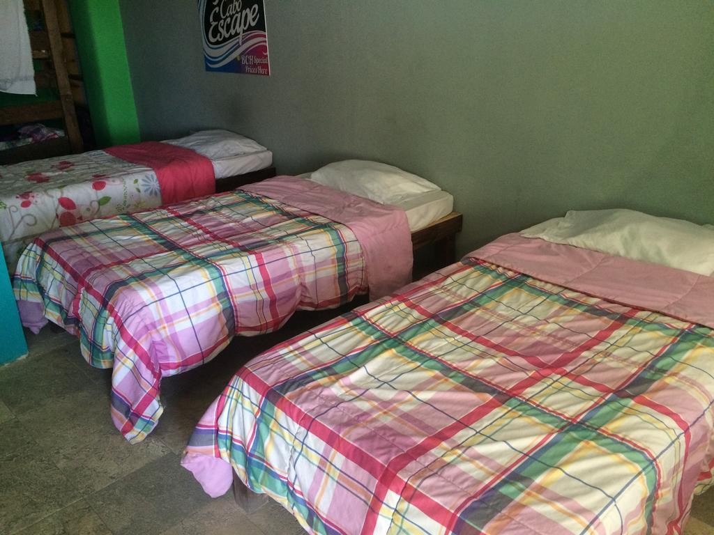 קאבו סן לוקאס Bajas Cactus Hostel חדר תמונה