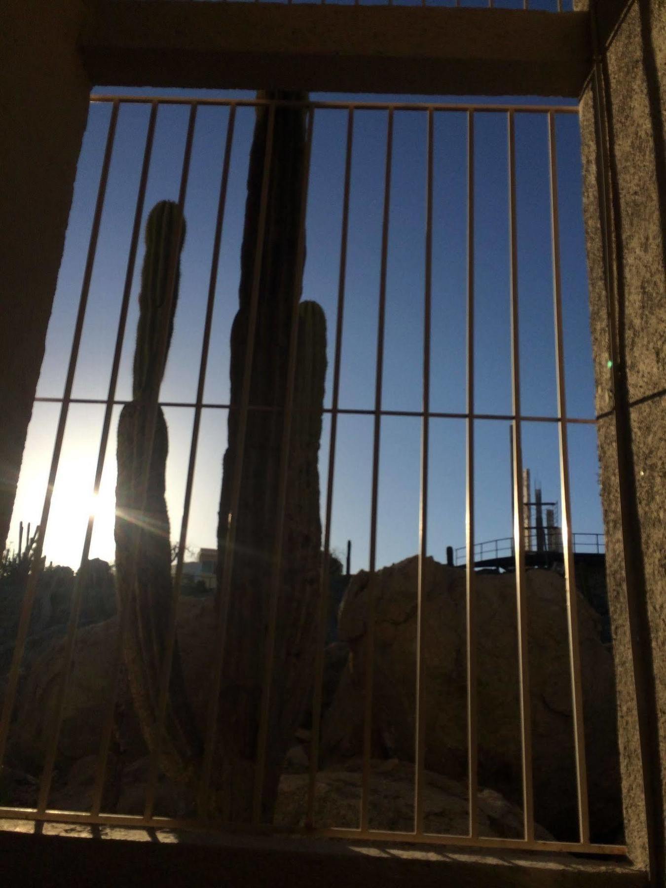 קאבו סן לוקאס Bajas Cactus Hostel מראה חיצוני תמונה