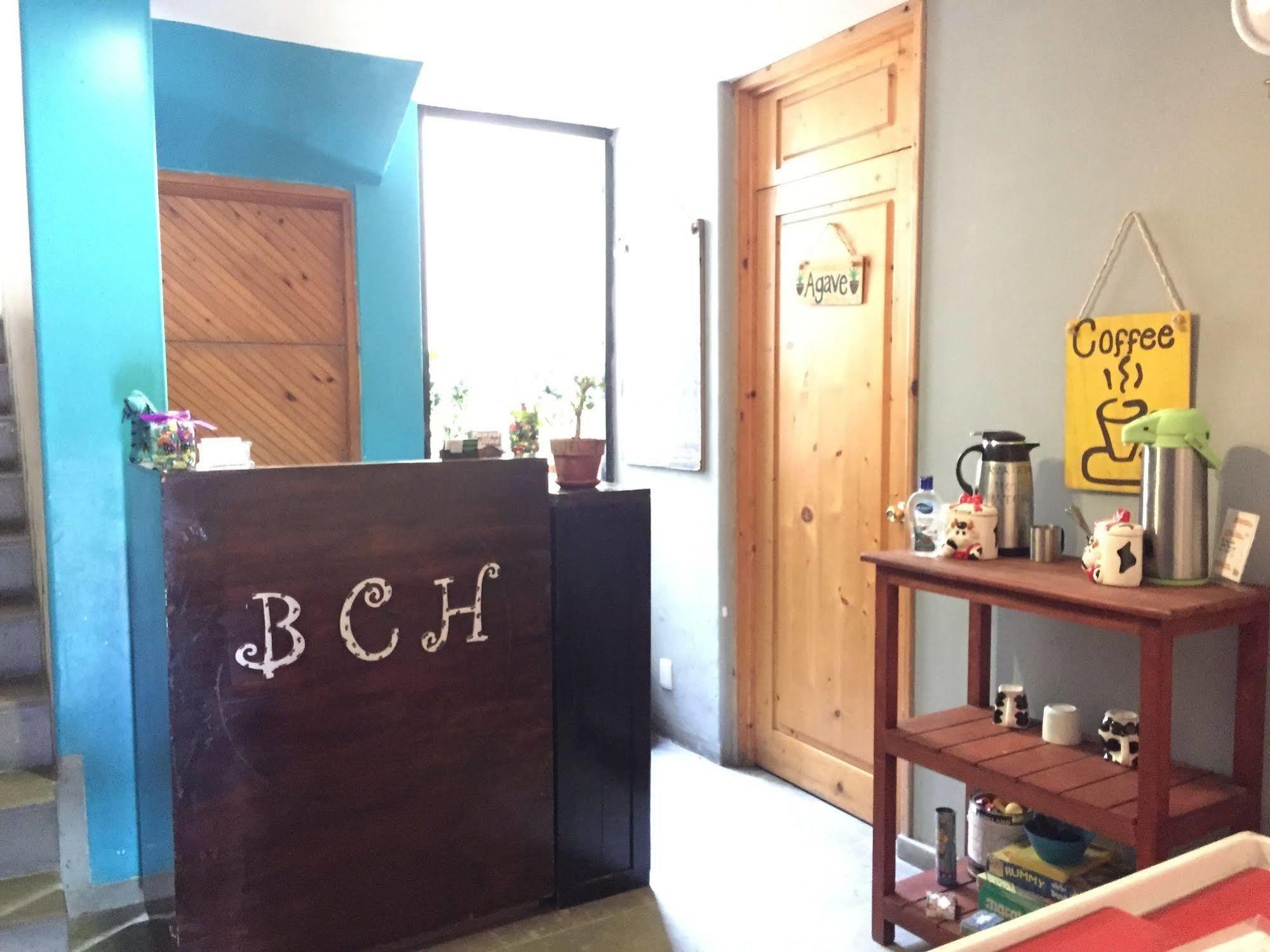 קאבו סן לוקאס Bajas Cactus Hostel מראה חיצוני תמונה