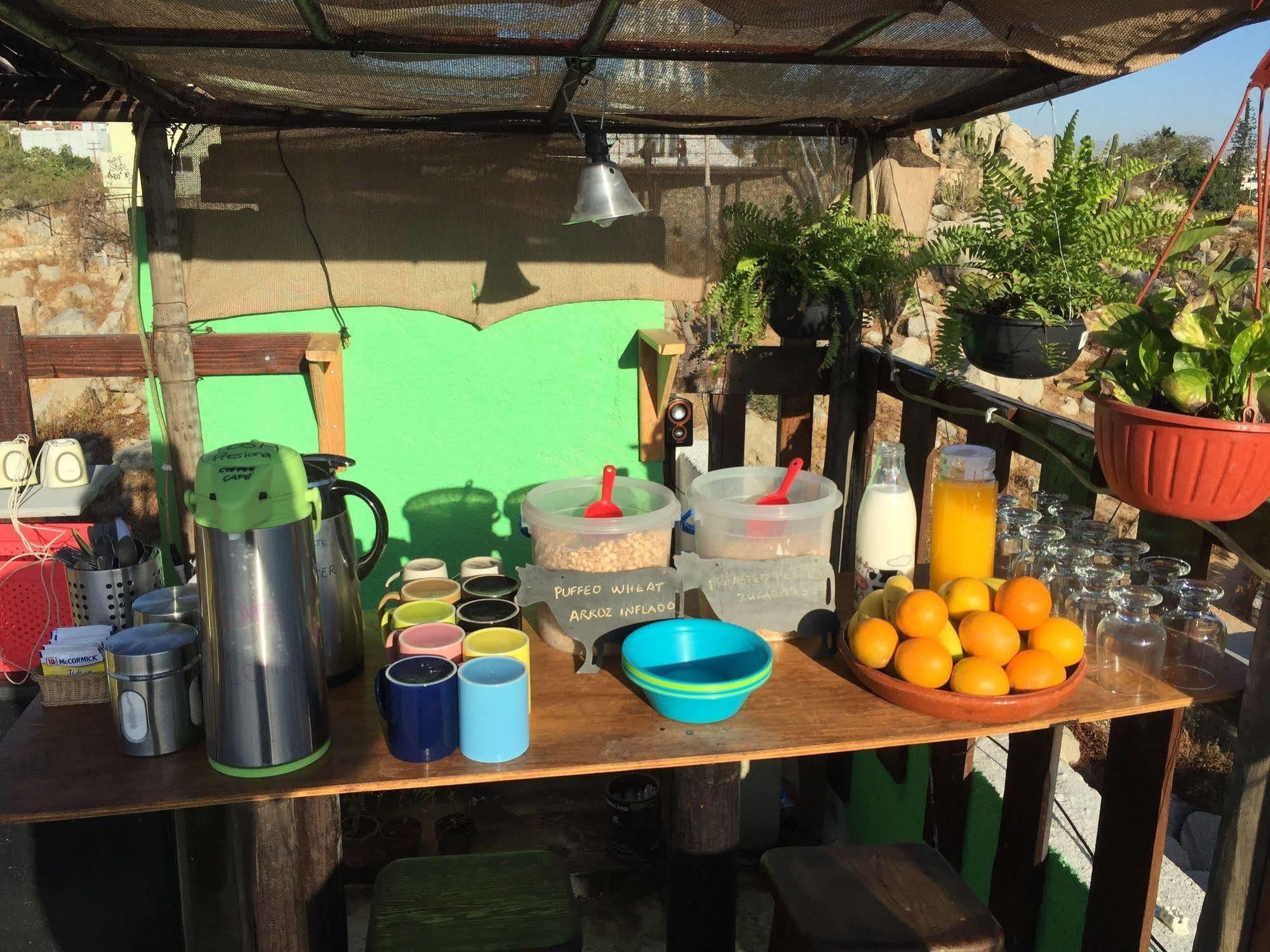 קאבו סן לוקאס Bajas Cactus Hostel מראה חיצוני תמונה