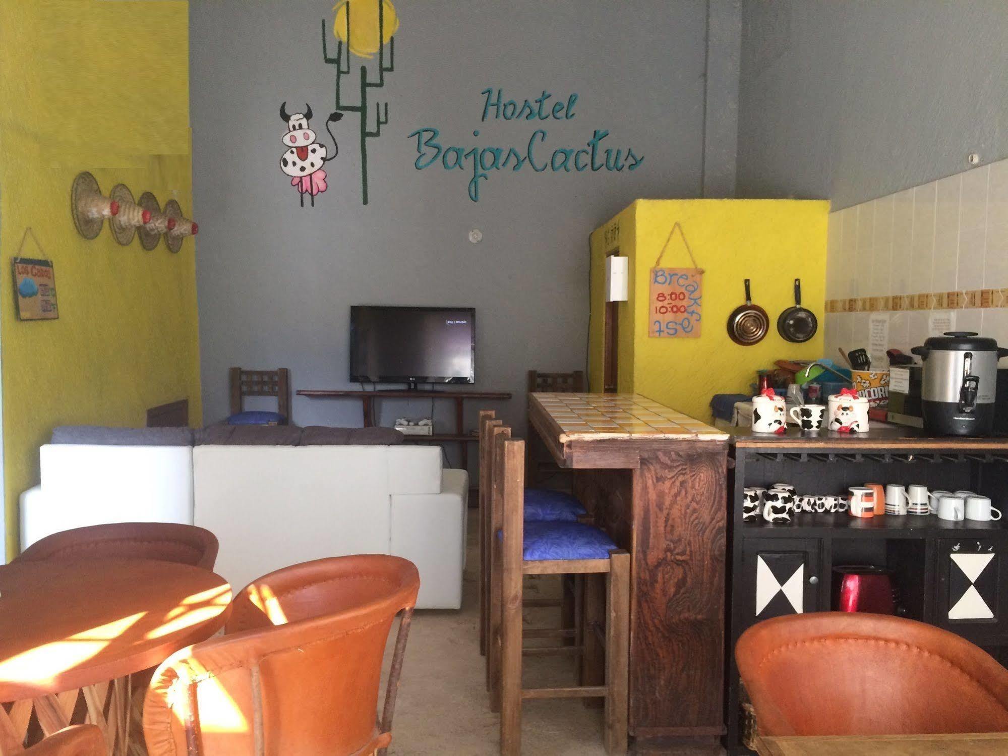 קאבו סן לוקאס Bajas Cactus Hostel מראה חיצוני תמונה