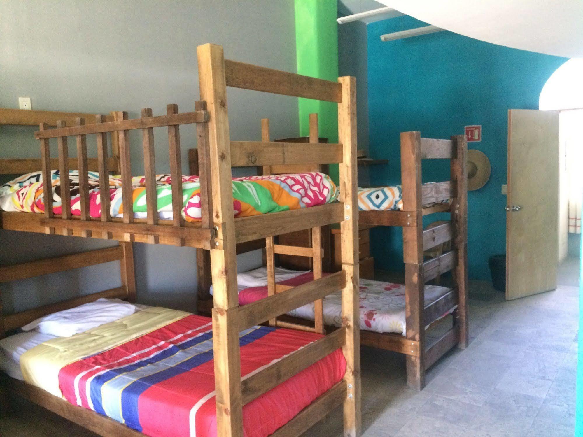 קאבו סן לוקאס Bajas Cactus Hostel מראה חיצוני תמונה