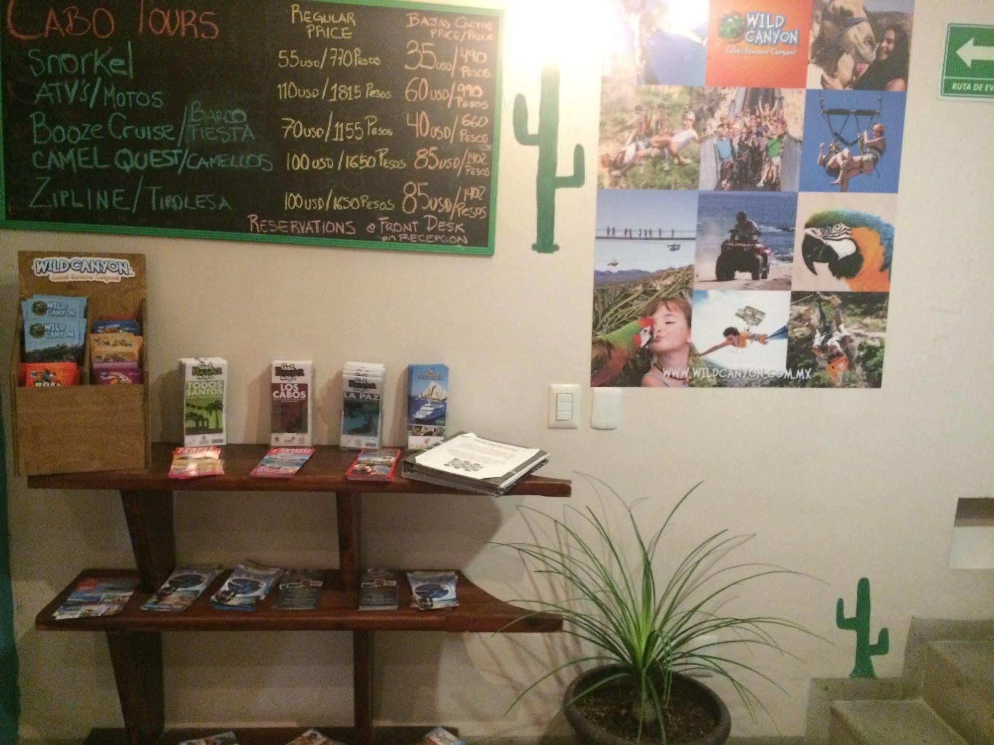 קאבו סן לוקאס Bajas Cactus Hostel מראה חיצוני תמונה