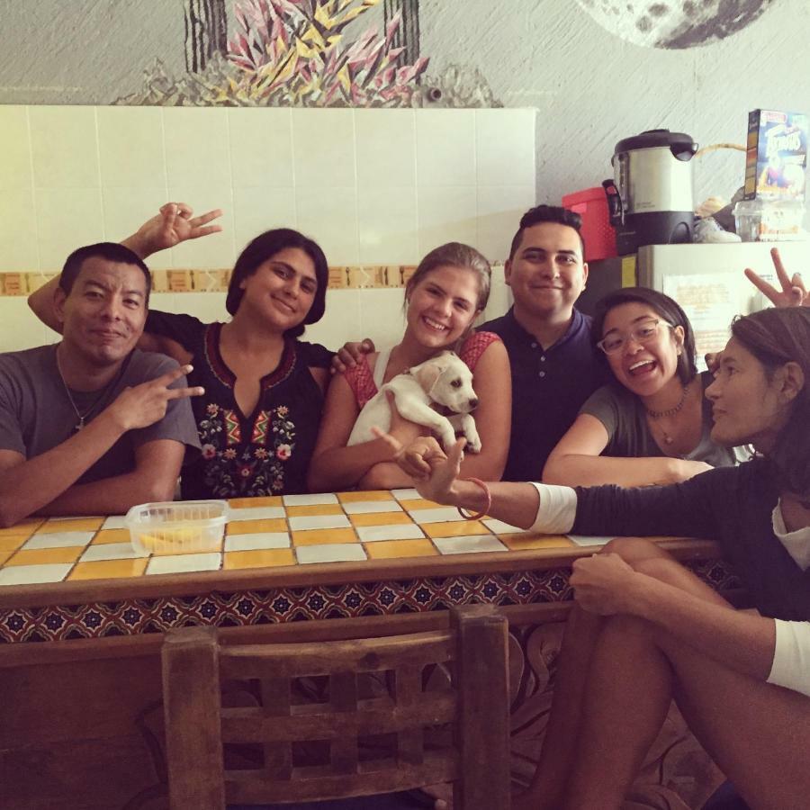 קאבו סן לוקאס Bajas Cactus Hostel מראה חיצוני תמונה