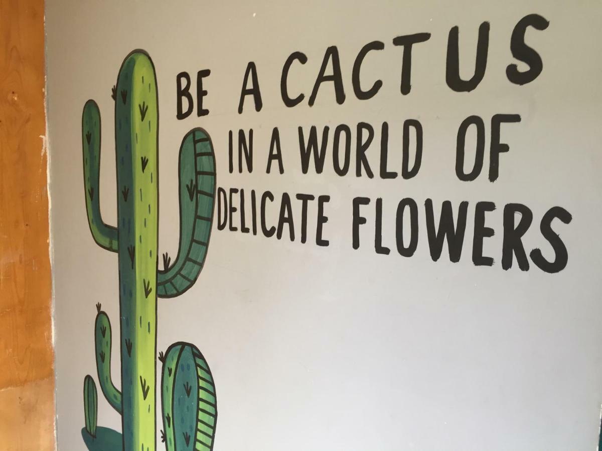 קאבו סן לוקאס Bajas Cactus Hostel מראה חיצוני תמונה